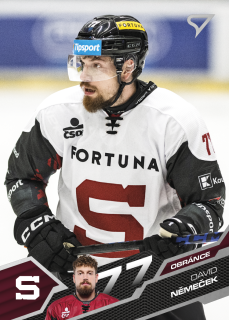 DAVID NĚMEČEK SportZoo 2025-26 II.serie