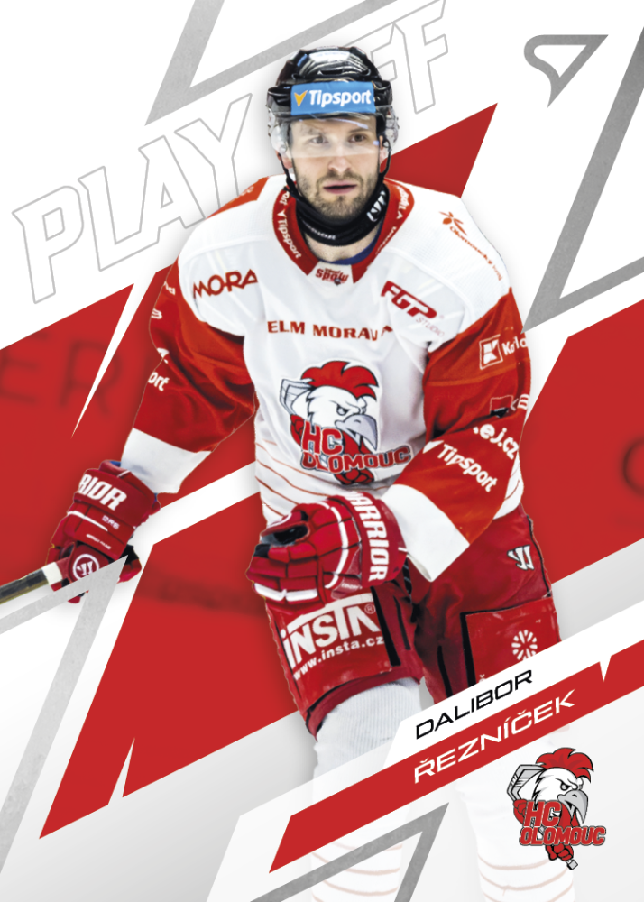 DALIBOR ŘEZNÍČEK SportZoo ELH 2025/26 Play Off Base Set