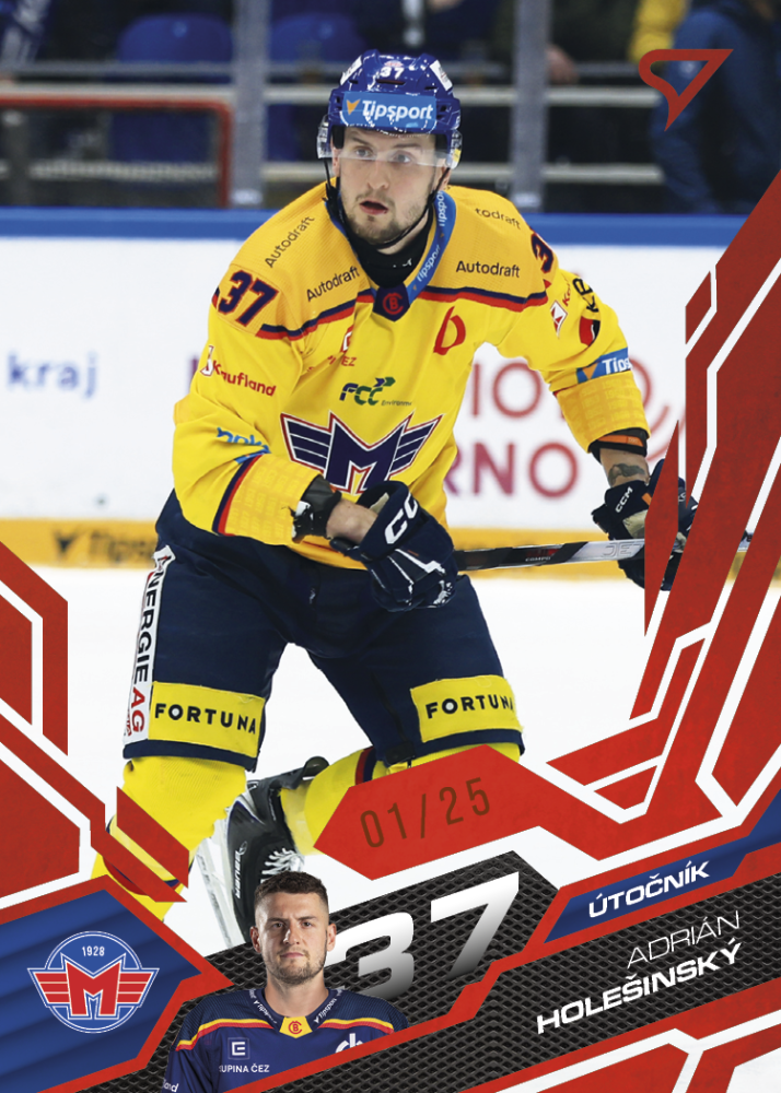 ADRIÁN HOLEŠINSKÝ SportZoo ELH 2025/26 Play Off Ruby Red 12/25