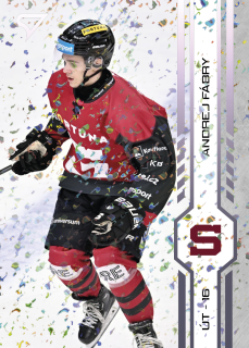 ANDREJ FÁBRY SportZoo Play Off 2025 Puck Marks
