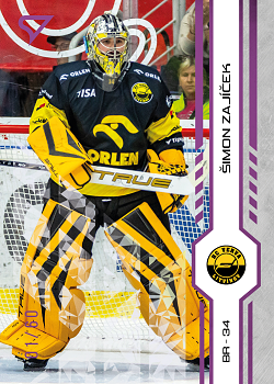 ŠIMON ZAJÍČEK - SportZoo Tipsport 2023-24 I.série Purple Iceberg 05/60