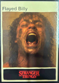 This is your Story STRANGER THINGS - Flayed Billy