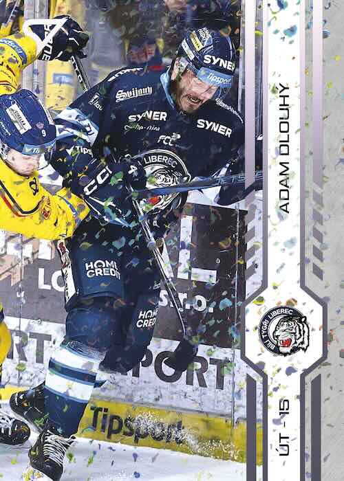 ADAM DLOUHÝ SportZoo Play Off 2025 Puck Marks