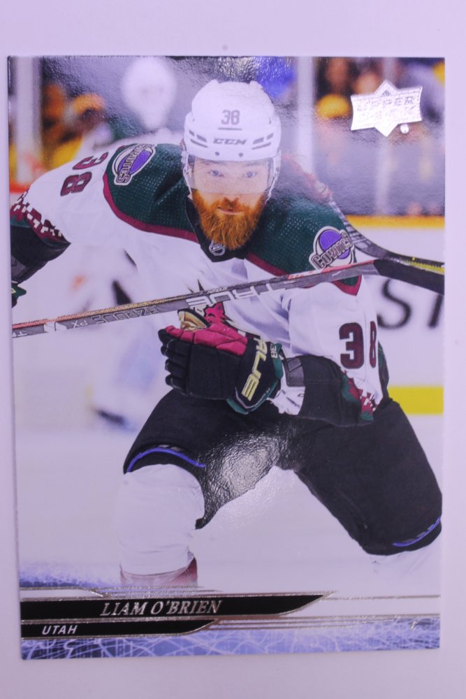 LIAM O'BRIEN 2024-25 UD Series 2 Hockey