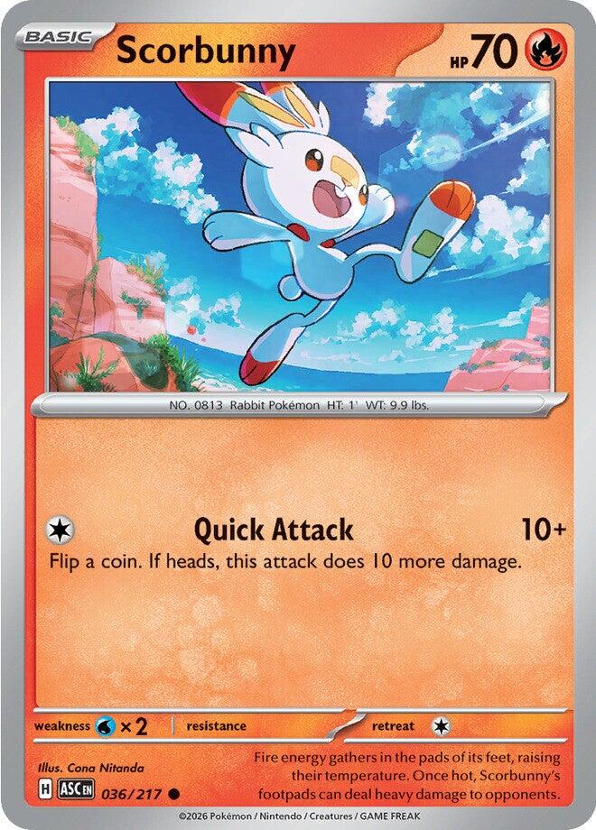 Scorbunny 036/217 - Ascended Heroes